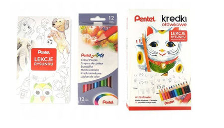 ZESTAW PENTEL PASTEL KREDKI + LEKCJA RYSUNKU