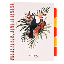 Kołozeszyt STRIGO PADS Project Book A4 kratka Tropiki Tukan