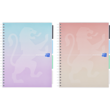 KOŁOZESZYT OXFORD PJBK 2SPI B5 80K KRATKA PAST