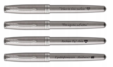 Pióro wieczne Sonnet Stainless Steel CT ( F )