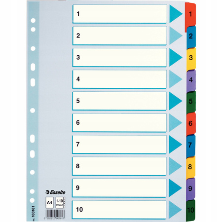 PRZEKŁADKA ESSELTE A4 MYLAR 1-10