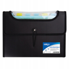 Teczka A4 VFILE Strigo z 12 przekładkami CZARNA