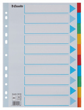 PRZEKŁADKI ESSELTE A4 KARTONOWE 10CZ